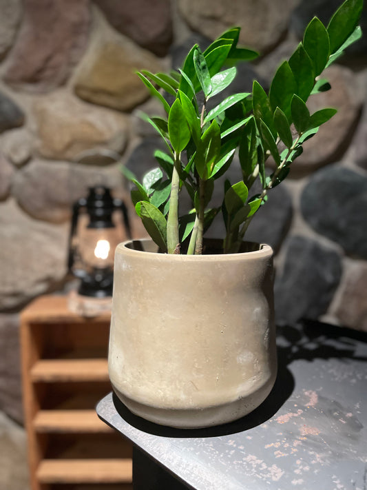 Large Handmade Stone Cement Concrete Jar